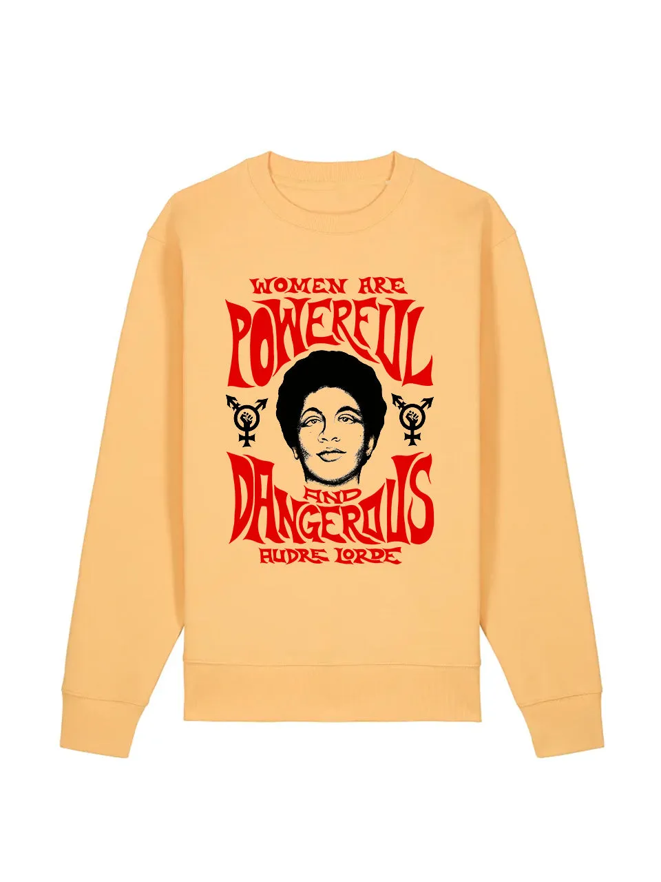 dna merch Powerful And Dangerous Audre Lorde Rundhalspullover Damen Baumwolle
