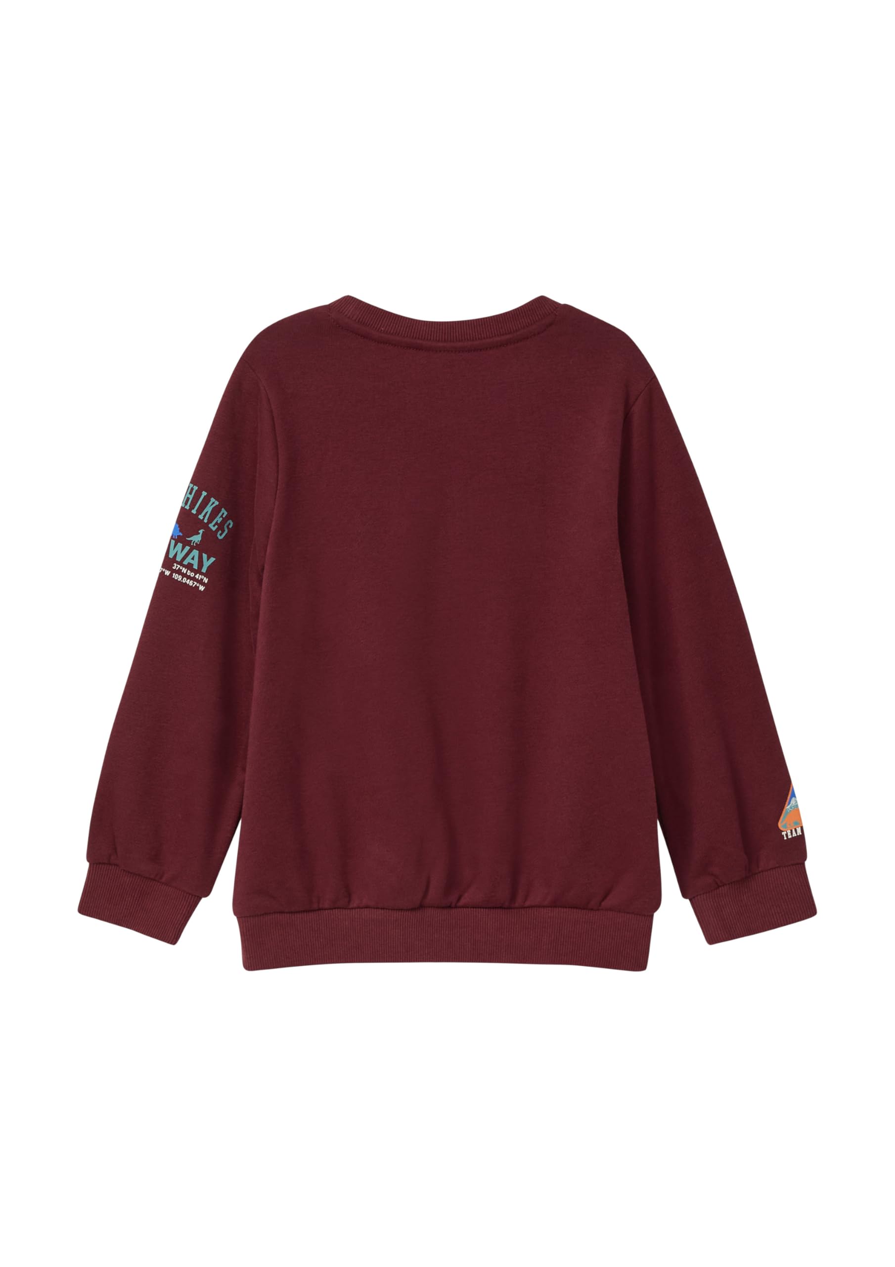 s.Oliver Jungen Sweatshirt 3D-Print Rot 128-134