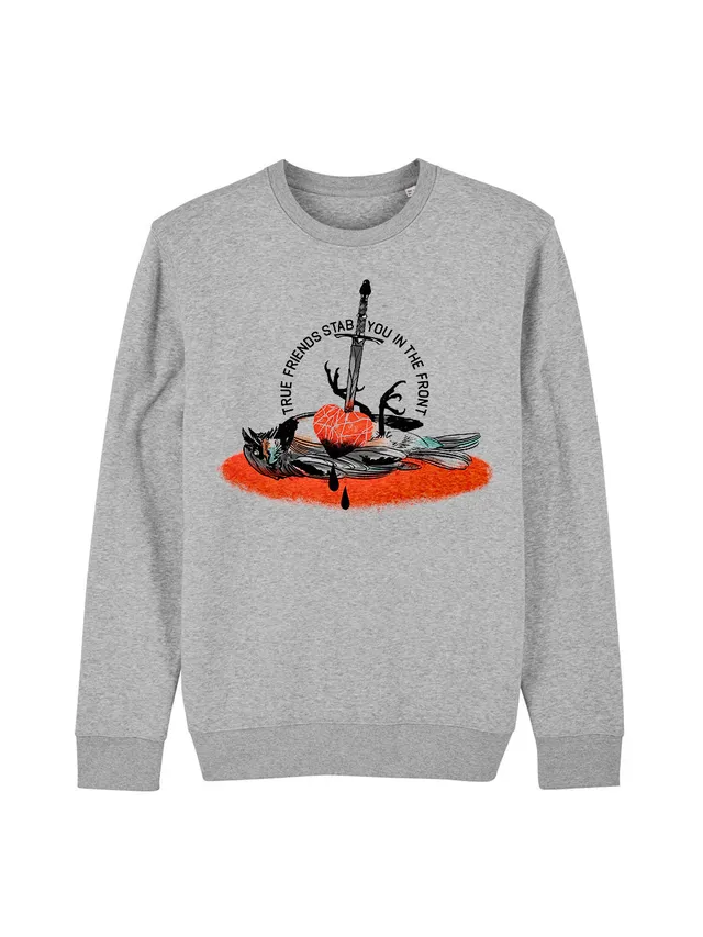 dna merch True Friends Rundhalspullover grau Biobaumwolle