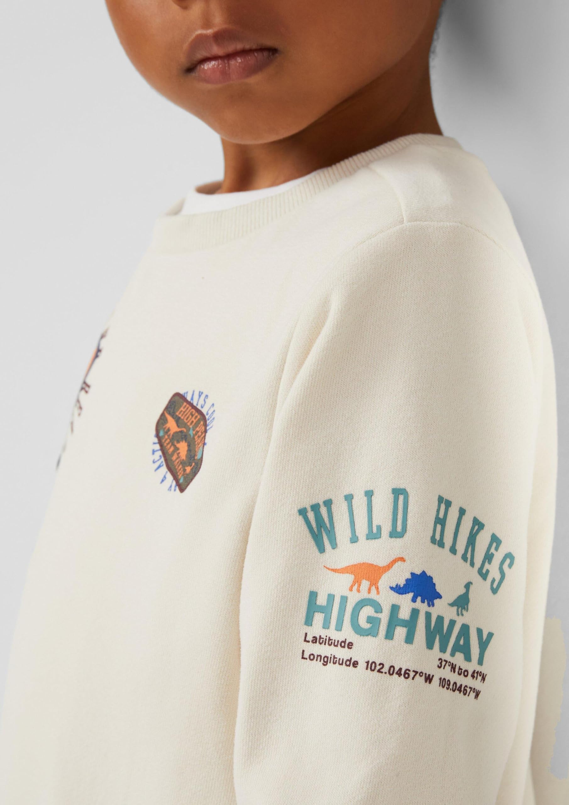 s.Oliver RED LABEL Sweatshirt 3D-Print Stickerei