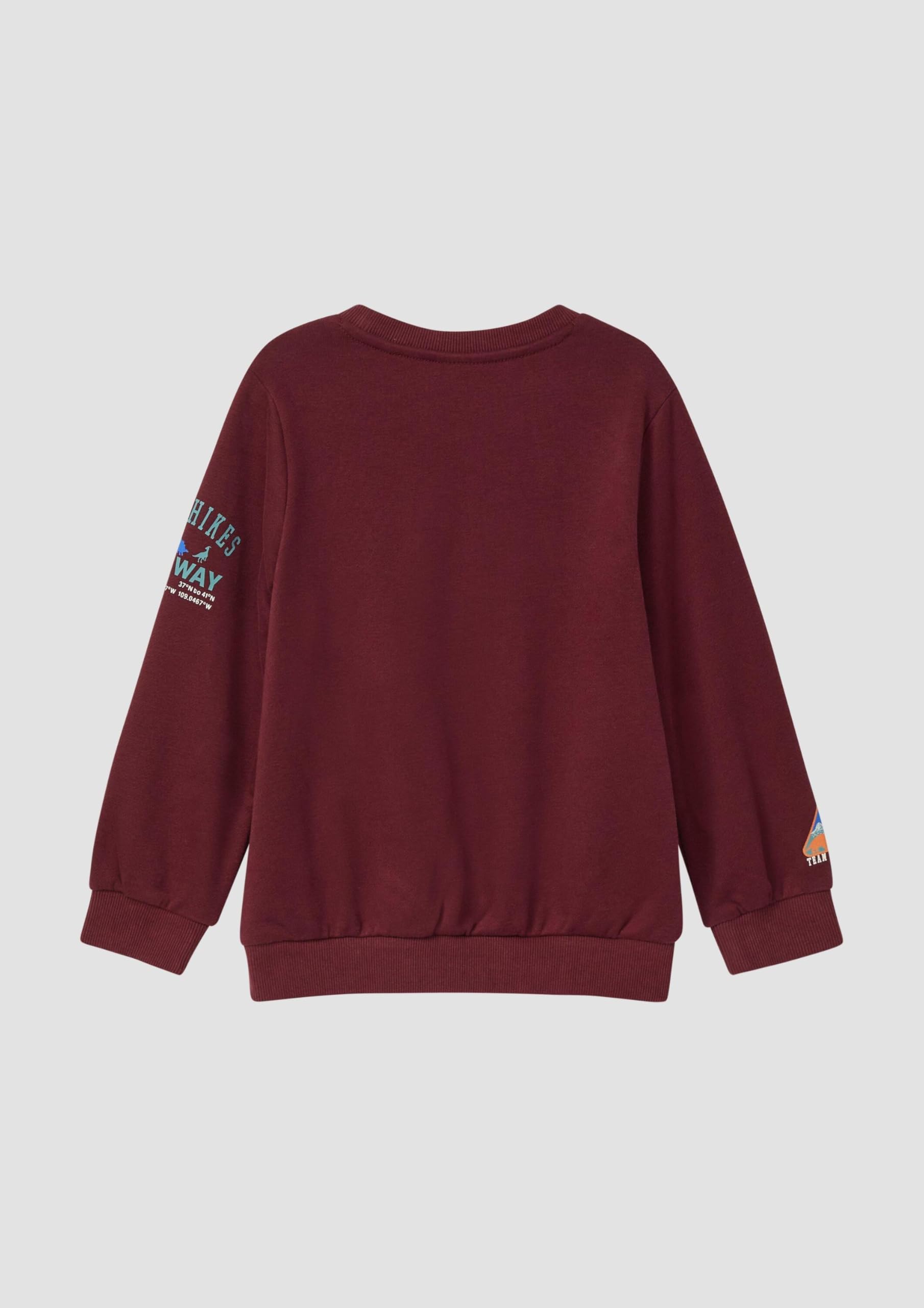 s.Oliver Jungen Sweatshirt 3D-Print Rot 128-134