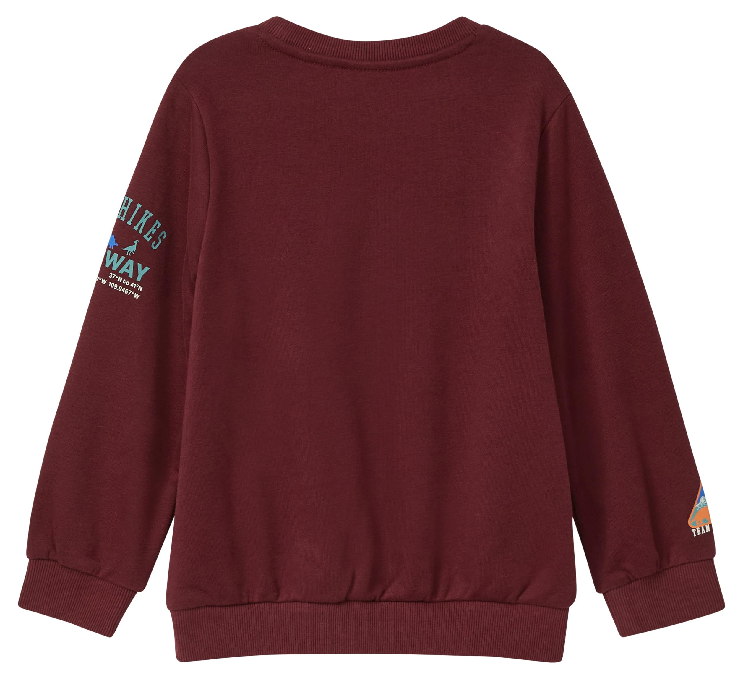 s.Oliver RED LABEL Sweatshirt 3D-Print Rot 104-110