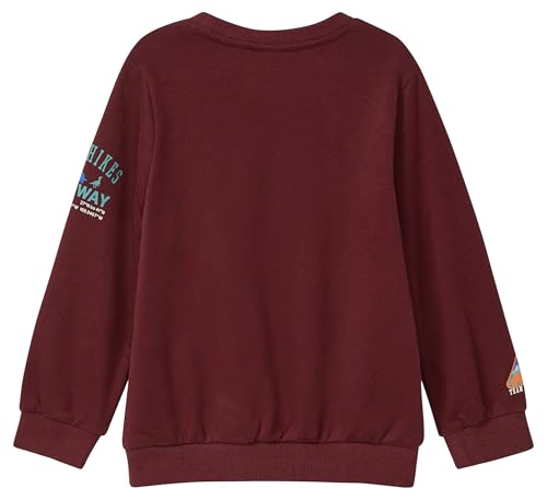 s.Oliver RED LABEL Sweatshirt 3D-Print Rot 104-110