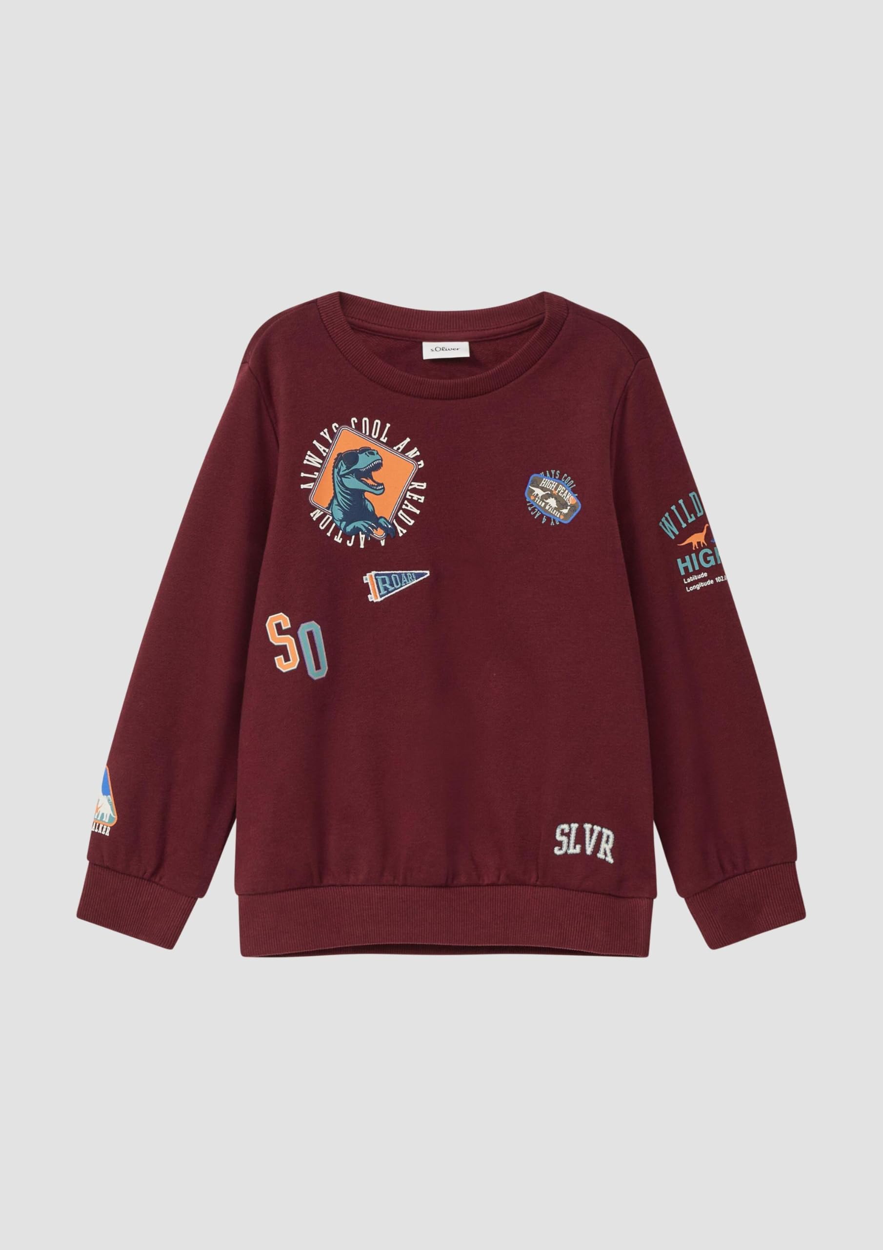 s.Oliver Jungen Sweatshirt 3D-Print Rot 128-134